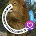Anibal Vargas - Facebook