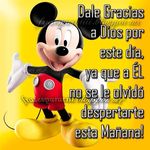 Anibal Velez - @anibal.velez.357 - Instagram