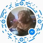 Aniela Margrey - @amargrey - Instagram