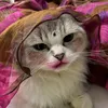 Annasha Bose - @anik_a_bose - TikTok