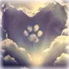 anikabecker492 - @anikabecker492 - TikTok