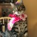 Anika Holmes - Facebook