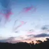 Anika - @anika.nelson - TikTok