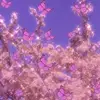 Anika Phillips - @neekz_1171 - TikTok