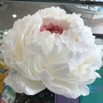 Pardesi Babu - @anil.basnet.18041092 - Instagram