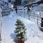 Anil Bhambhani - Facebook