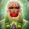 @anilbhambniya1513 - @anilbhambhaniya1513 - TikTok
