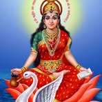 Anil Bhatt - Facebook