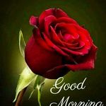 Anil  chacko - @anil.chacko.9250 - Instagram