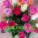 Anil Chacko - @anil.chacko.5201 - Instagram