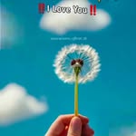 Anil Chandel - @anil_chandel_7697 - Instagram