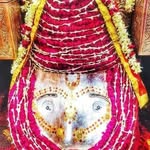 Anil Chugh - @anil.chugh.7161 - Instagram