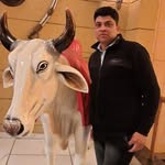 Anil Chugh - @anil.chugh.792 - Instagram