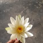 anil dey - @anildey54 - Instagram