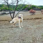 @anil_deyneli20 - Instagram