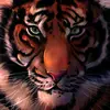 Anil Dharpawar - @anildharpawar5 - TikTok