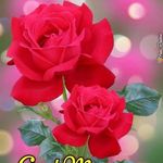 Anil D'mello - @anildmello752 - Instagram