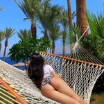 Anil Greenberg - @anil.greenberg - Instagram
