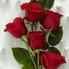 Anil Kishore - @anilkishore07 - TikTok
