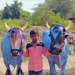 Anil Mangali - @anil.mangali.39 - Instagram