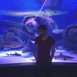 Anıl Polat - @anilpolat - Instagram