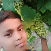 anil rode - @rodearun - TikTok