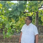 Anil Rode - @anilrode37 - Instagram
