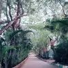 Anil Roy - @anilroy429 - TikTok