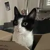 anilesalim - @anilesalim - TikTok