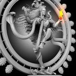 Anil Samaroo - @anil.g.45 - Instagram