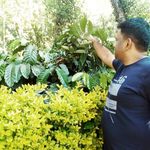 Mr.  sequeira - @anil_sequeira - Instagram
