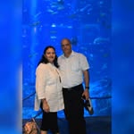 Anil Setia - @anil3.110 - Instagram