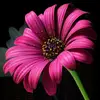 Anil Singhal - @anilsinghal0 - TikTok