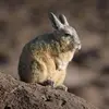 Naga Anil Sunkara - @nagaanilsunkara - TikTok