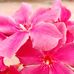 Anil Suren - Facebook
