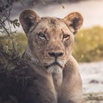 swaroop anil - @swaroop.anil - Instagram