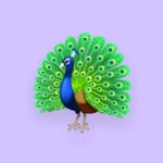 Anil Wagh - @anilw_agh9788 - Instagram