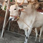 Anil Wagh - @anilwagh318 - Instagram