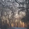 Anisa Mitchell - @anisamitchell1 - TikTok