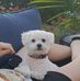 Anisa Murray Cline - Facebook