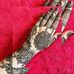 Anisa Sheikh - Facebook