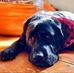 Anissa Brown - Facebook