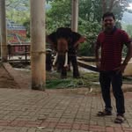 Anish Chacko - @anishchacko2308 - Instagram