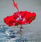 Anish Davis - Facebook