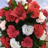 anish joy - @user8621983271024 - TikTok