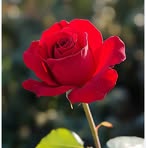 Anish Kumar - Facebook