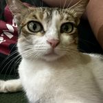 Anish Sawant  - @crosssagent - Instagram