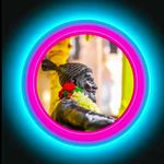 @its_anishsawant - Instagram