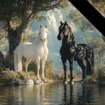 Aissa Boubker - Facebook