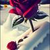 Anit Sharma - Facebook